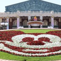 Disneyland : révolution en approche pour les rencontres avec les personnages, et tout le monde sera gagnant