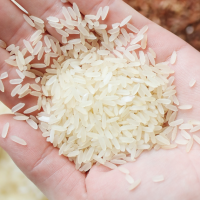 Alors que les experts en cuisine débattent de l'idée de laver le riz, la science a tranché le débat il y a longtemps