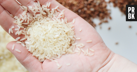 Alors que les experts en cuisine débattent de l'idée de laver le riz, la science a tranché le débat il y a longtemps
 