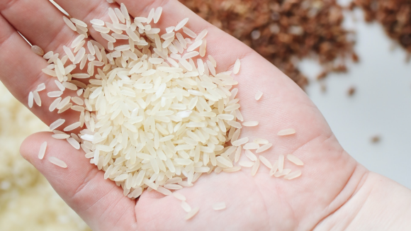 Alors que les experts en cuisine débattent de l'idée de laver le riz, la science a tranché le débat il y a longtemps