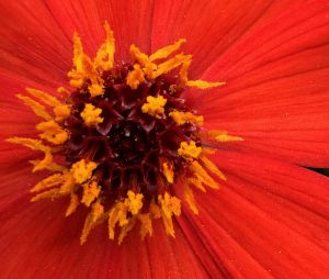Test de l'iPhone 15 Pro, les photos à l'honneur, avec le zoom 0,5x, 1x, 2x et 3x et le mode macro