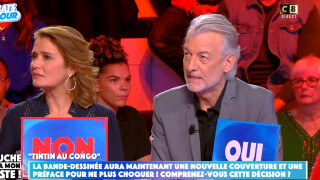 "Il faut brûler cette BD" : les propos chocs de Gilles Verdez sur Tintin au Congo dans TPMP