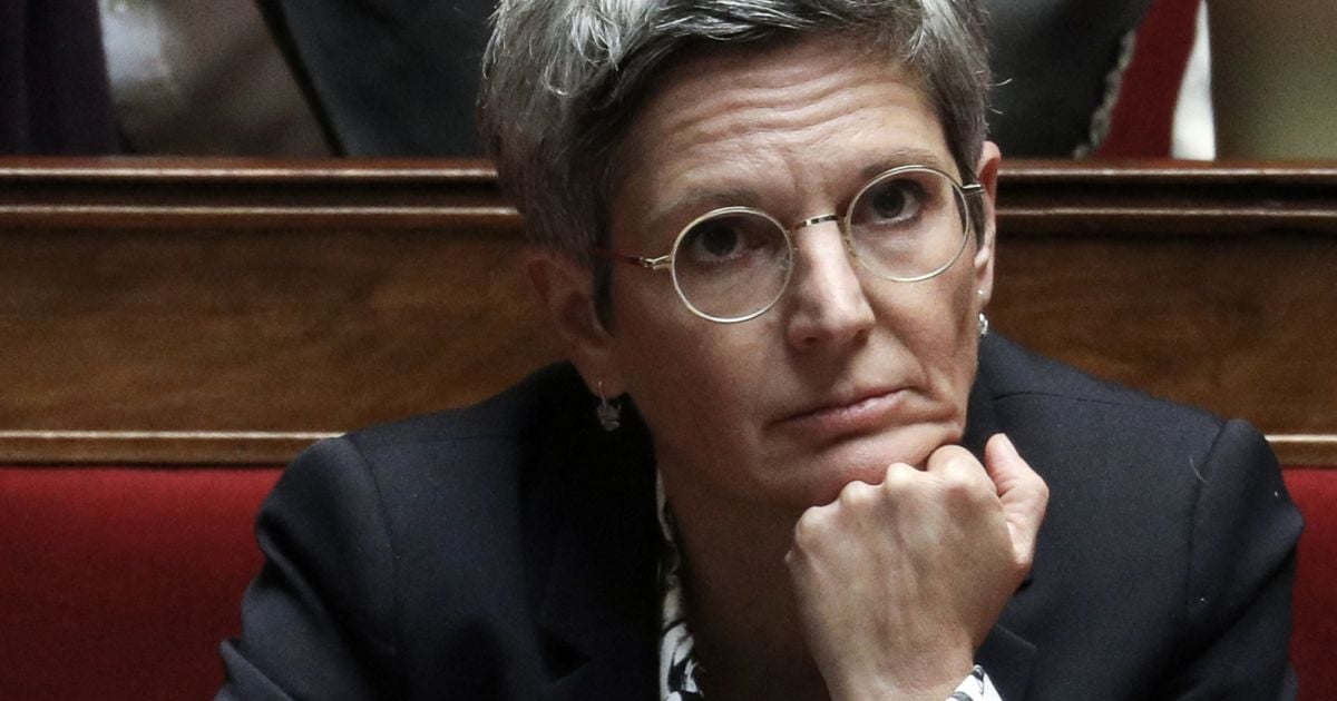 Sandrine Rousseau - Séance De Questions Au Gouvernement à L'assemblée ...