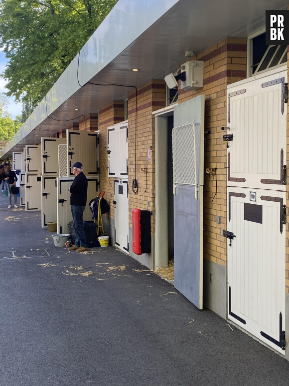 Les écuries de l'Hippodrome ParisLongchamp sont généralement fermées au public.