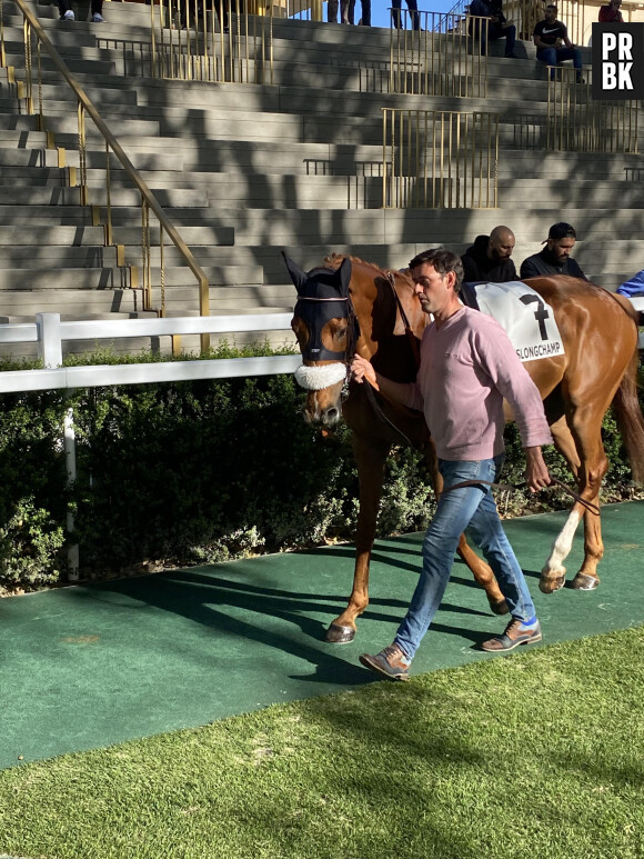 Défilé de chevaux à l'Hippodrome ParisLongchamp.