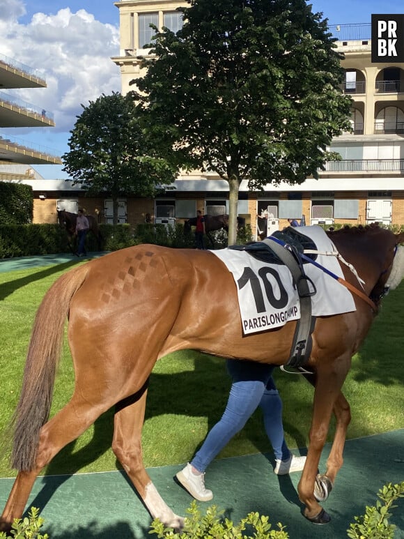 J'ai découvert les coulisses de l'Hippodrome ParisLongchamp. Ce cheval a un motif dessiné sur la croupe.