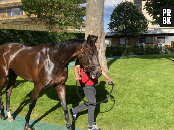 J'ai découvert les coulisses de l'Hippodrome ParisLongchamp. Les chevaux défilent.