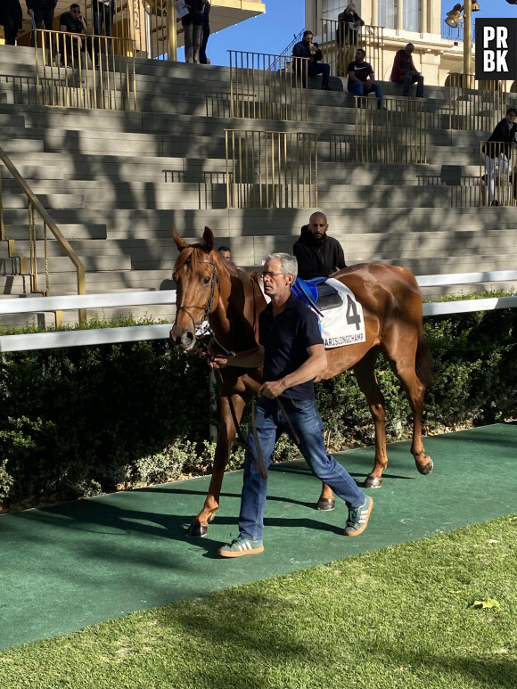 J'ai découvert les coulisses de l'Hippodrome ParisLongchamp. Ici, le cheval numéro 4.