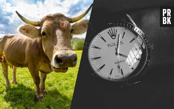 50 ans après avoir disparu dans le ventre d'une vache, cet agriculteur retrouve sa Rolex