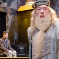 Harry Potter en série : le nouveau Dumbledore incarné par un acteur des films ?