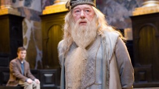 Harry Potter en série : le nouveau Dumbledore incarné par un acteur des films ?