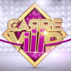 Carré ViiiP ... J-2 avant l'ouverture vendredi soir sur TF1 et TF1.fr