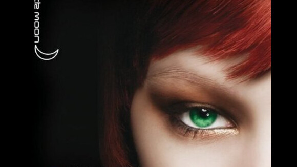 Vampire Diaries ... le Tome 5 de la saga est en vente