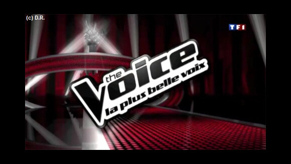 The Voice : Garou dans le jury, une rumeur qui a de la gueule