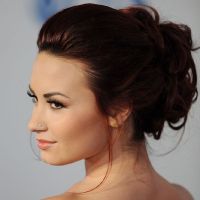 Demi Lovato sur Twitter : elle dit &quot;Au Revoir&quot; à ses fans