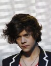 Les One Direction devront se contenter des stripteases forcés d'Harry