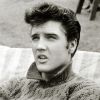 Elvis sera-t-il ressuscité ?