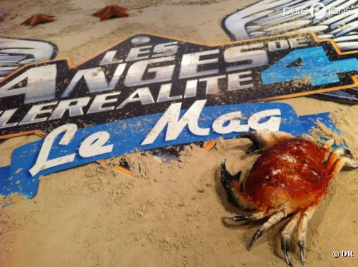 Les Anges : Le Mag deviendra un rendez-vous quotidien dès la rentrée !