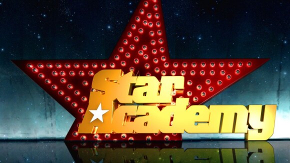 Star Academy 2012 sur NRJ 12 : Matthieu Delormeau aux commandes ? "J'en ai envie" !