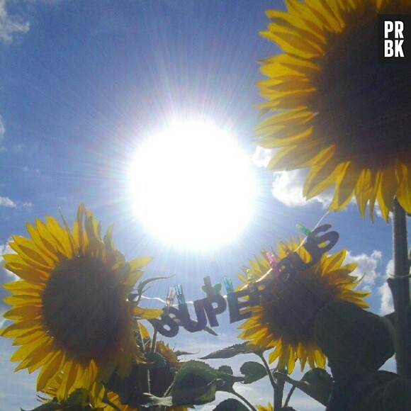 La photo d'AntiSubjectif sur le thème Sunshine, sublime !