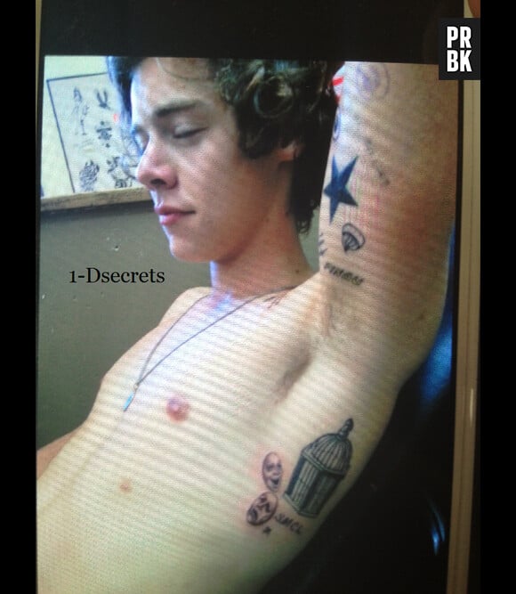 Harry Styles, torse nu pour montrer ses tatouages
