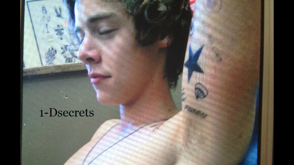 Harry Styles : sexy et torse nu pour dévoiler ses nouveaux tatouages (PHOTO)