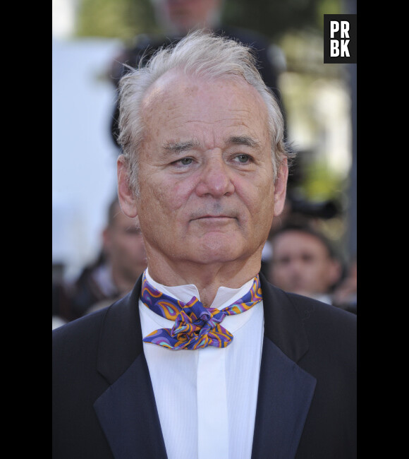 Bill Murray préfère se consacrer à d'autres projets