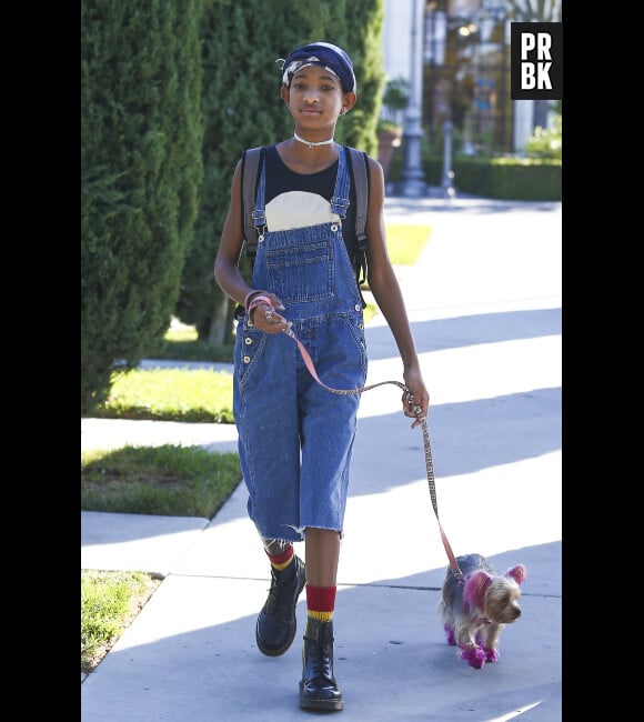 Willow Smith n'a pas peur d'affirmer son style !