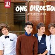One Direction : Little Things, leur magnifique ballade signée Ed Sheeran (AUDIO)