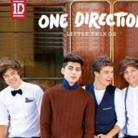 One Direction : Little Things, leur magnifique ballade signée Ed Sheeran (AUDIO)