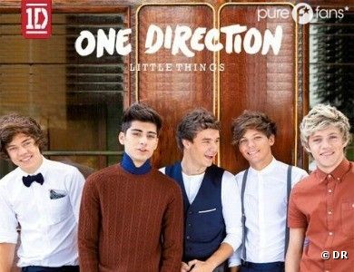 Les One Direction nous donnent la chair de poule avec Little Things