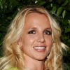 Britney Spears a craqué pour les 1D