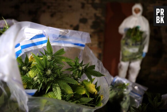 En France, la production et la consommation de cannabis peut coûter très cher