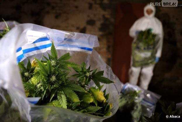 En France, la production et la consommation de cannabis peut coûter très cher