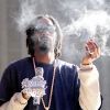 Snoop Dogg a-t-il loupé un épisode... ou fumé un joint de trop ?
