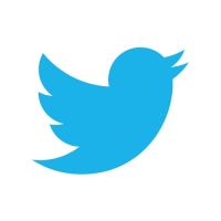 Twitter : en France, l'oiseau bleu peine à décoller