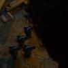Game of Thrones devrait nous offrir de nouvelles batailles