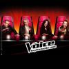 Huit candidats sont toujours en lice dans The Voice 2 pour les demi-finales.