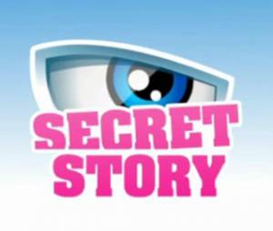 Secret Story 7 devrait revenir sur TF1 le 7 juin prochain.
