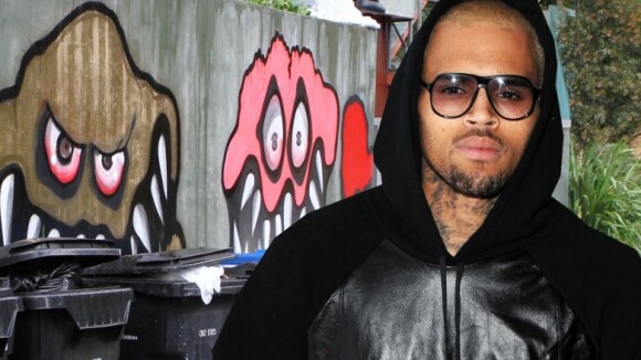 Chris Brown : ses voisins en guerre contre lui et... ses tags