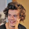 Harry Styles est intéressé par une femme de 20 ans plus âgée