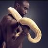 La nouvelle campagne de pub AdopteUnMec : adopte un beau-gosse à serpent