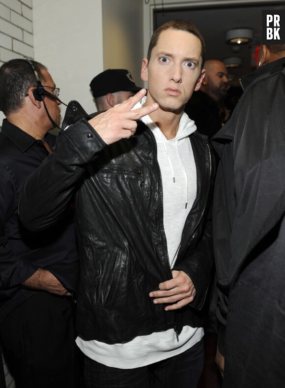 Eminem va sortir un huitième album en 2013