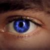 Teen Wolf saison 3 : des yeux bleus pour les bétas ayant tués
