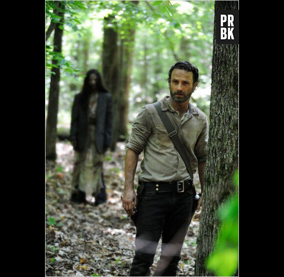 The Walking Dead saison 4 :