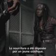 The Walking Dead saison 4 : Danai Gurira parle de l'avenir de Michonne