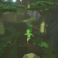 Zelda The Wind Waker HD sort le 4 octobre 2013 sur Wii U