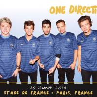 One Direction au Stade de France : un deuxième concert le 21 juin 2014