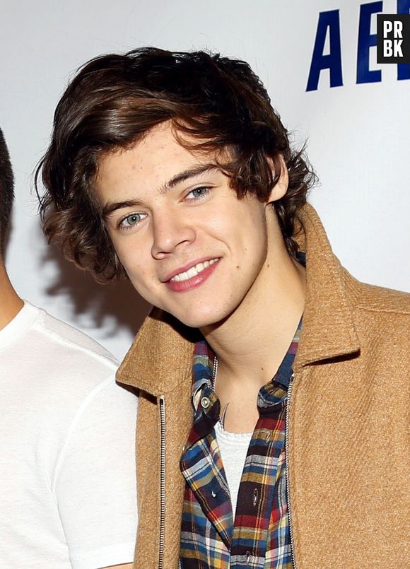 Harry Styles en couple avec Paige Reifler ?