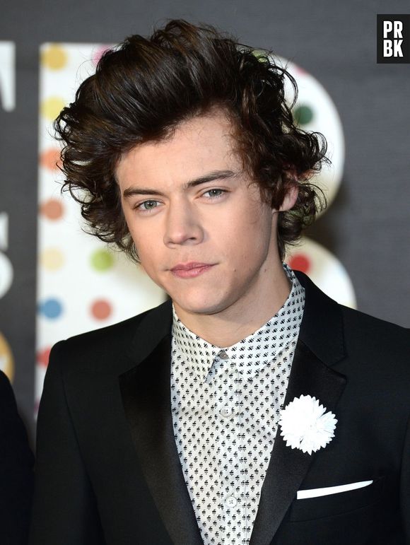 Harry Styles en couple avec Paige Reifler ?